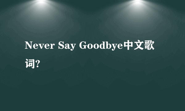 Never Say Goodbye中文歌词?