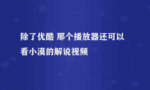 除了优酷 那个播放器还可以看小漠的解说视频