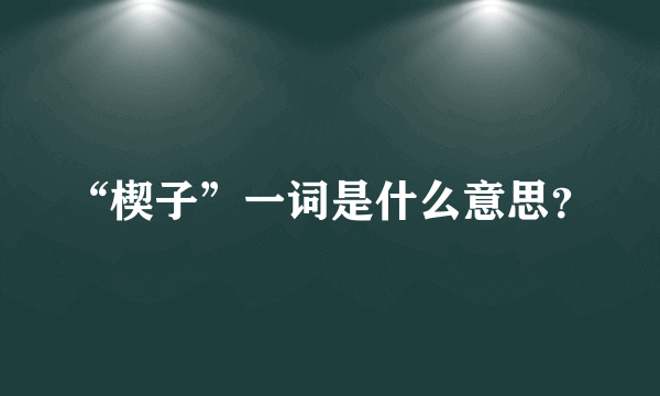 “楔子”一词是什么意思？