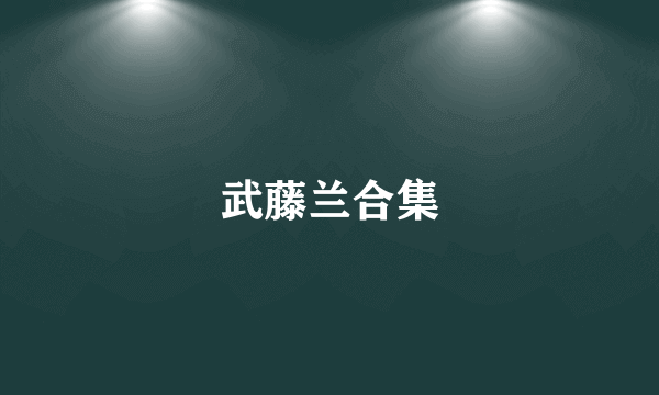 武藤兰合集