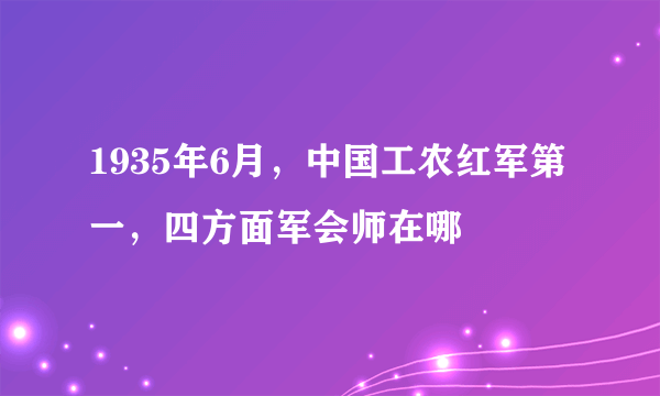 1935年6月，中国工农红军第一，四方面军会师在哪