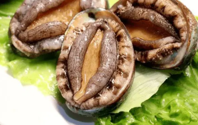 鲍鱼煲汤翻煲之后，是怎样的原因导致肉质会变硬？