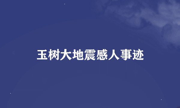 玉树大地震感人事迹