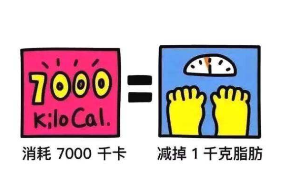 朴景丽在男友服刑期间有了小肚腩，为什么被网友嘲笑？