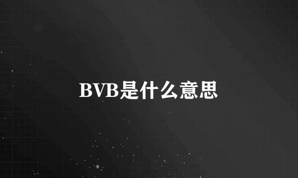 BVB是什么意思