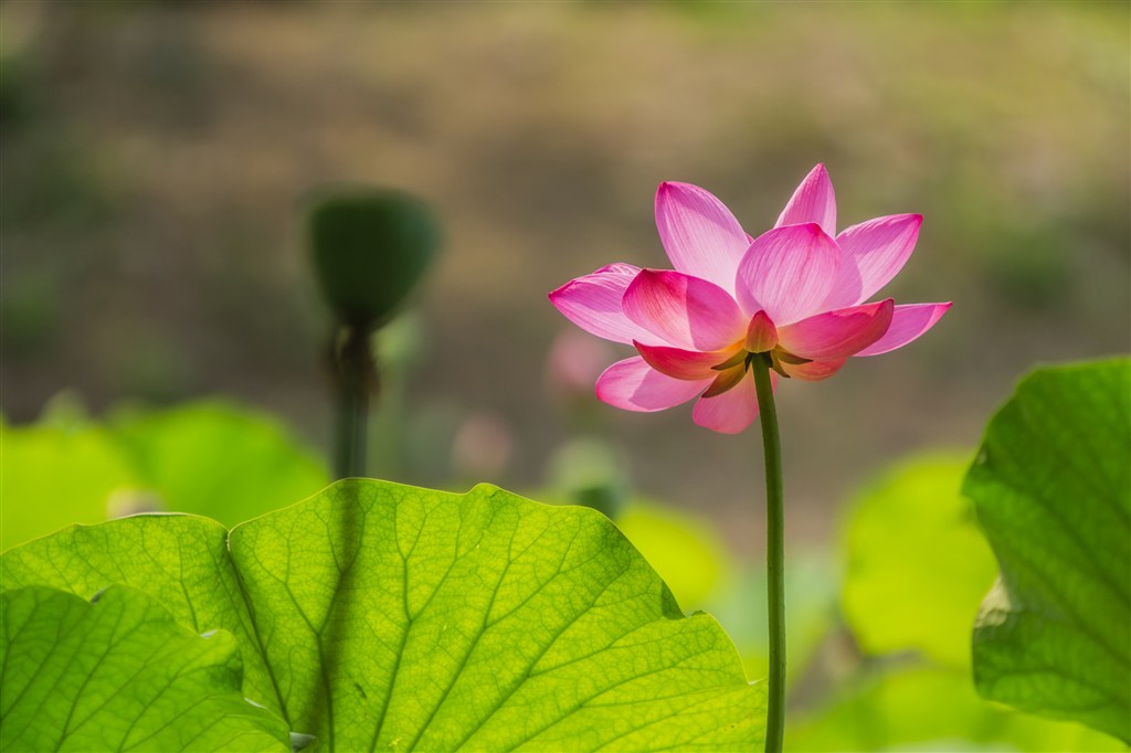 春天、夏天、秋天、冬天分别是几月到几月