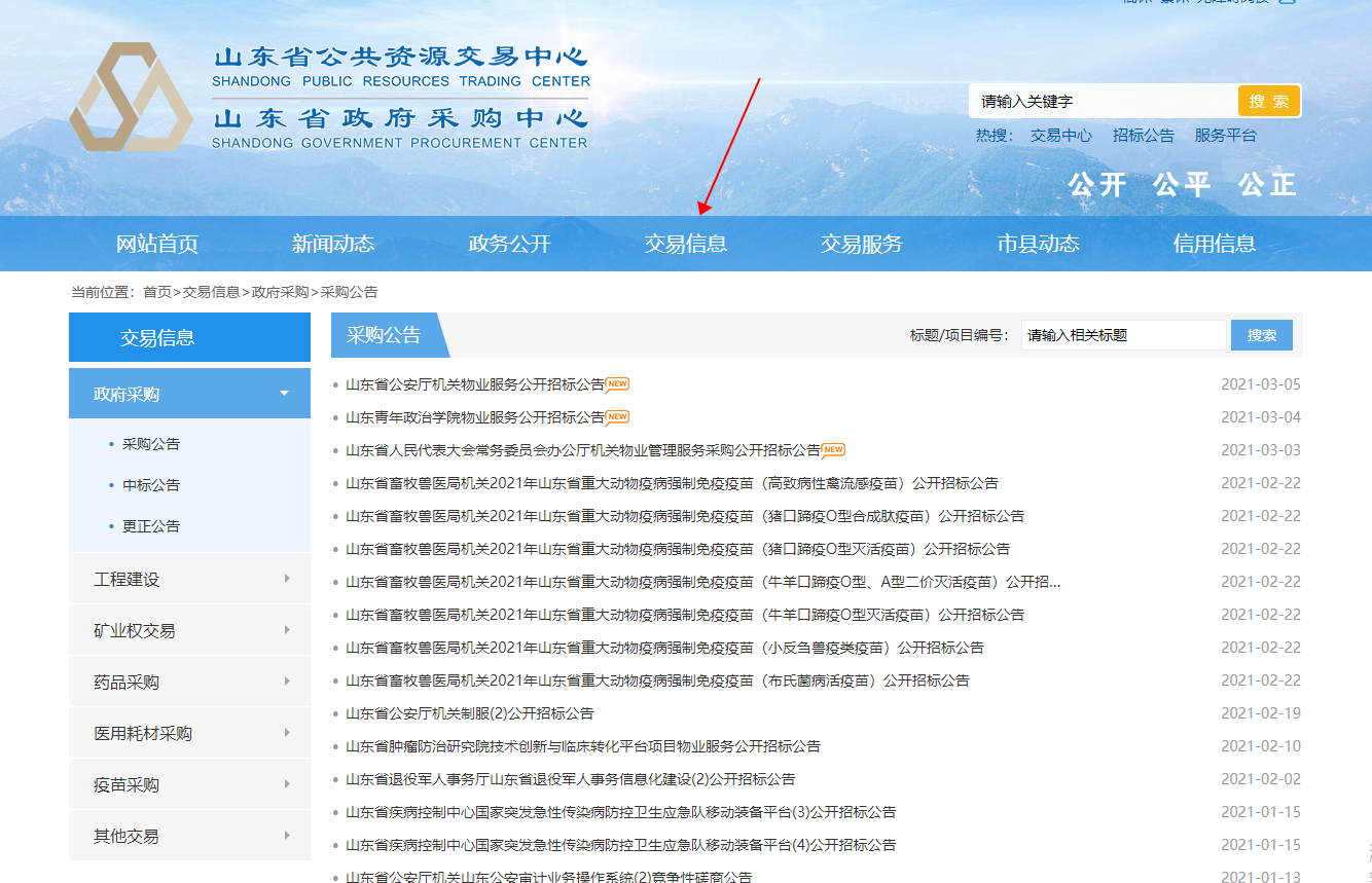 山东省各个政府招标从哪个网站可以看到？