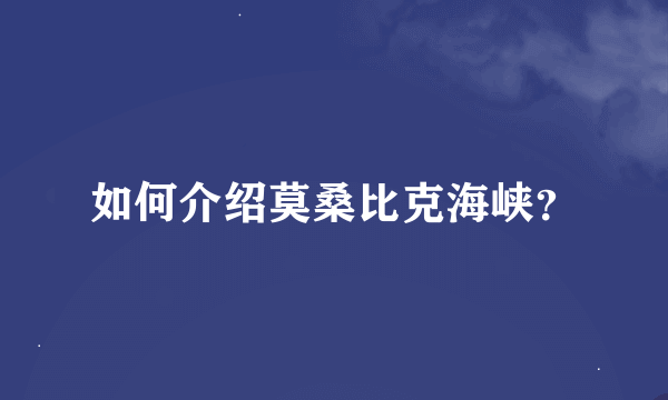 如何介绍莫桑比克海峡？