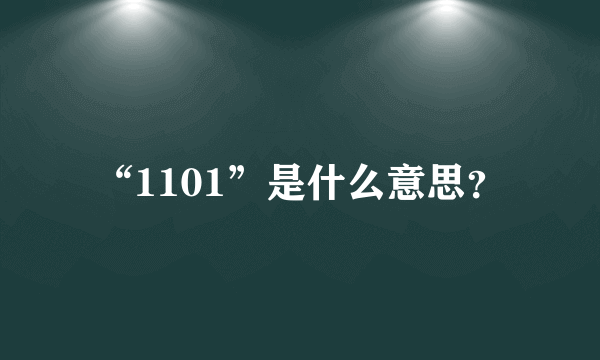 “1101”是什么意思？