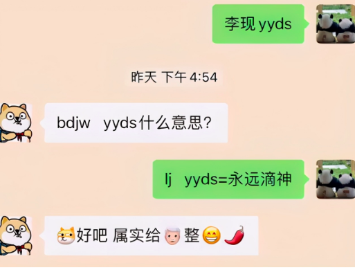 环聊是什么