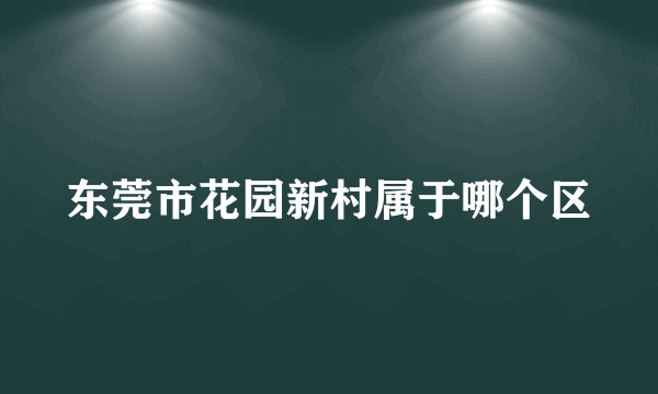 东莞市花园新村属于哪个区
