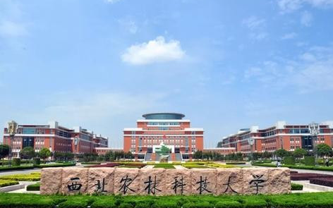 西北农林科技大学在哪里，不在西安吗