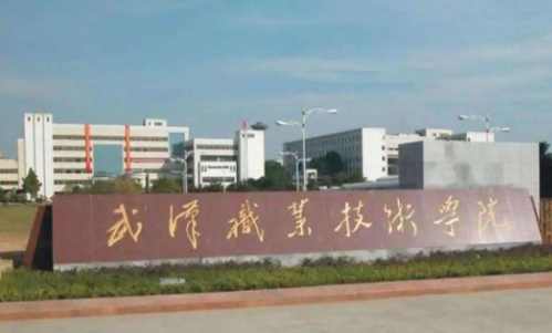 武汉大专院校排名