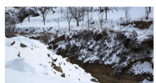 沟渠里积雪化得快的一面是南方还是北方？