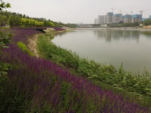 郑州周边有山有水的免费景点，你有哪些值得推荐的吗？