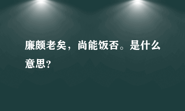廉颇老矣，尚能饭否。是什么意思？