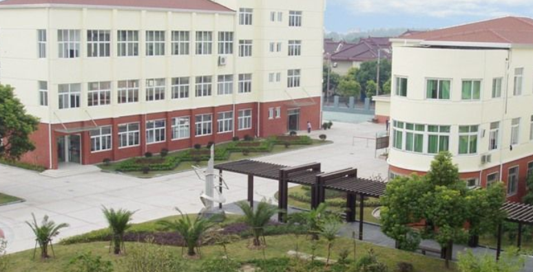 浦东新区三林中学北校与育人中学排名比较