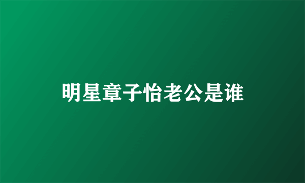 明星章子怡老公是谁