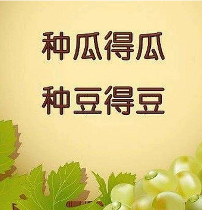 种瓜得瓜种豆得豆的意思是什么