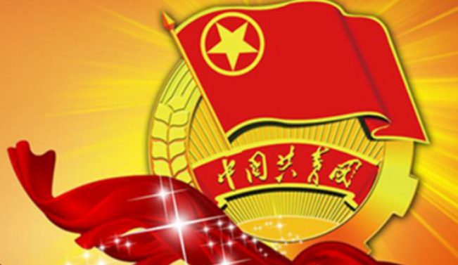 抄入团申请书后果是什么？