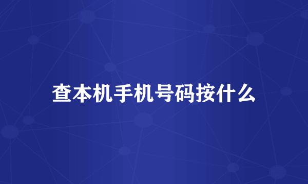 查本机手机号码按什么