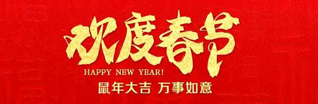 happy new year 和happy chnese new year 有什么区别么？