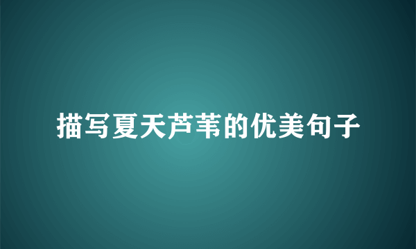 描写夏天芦苇的优美句子