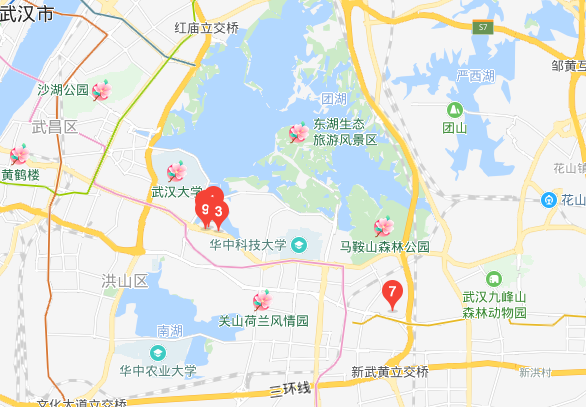 武汉体育学院属于哪个区