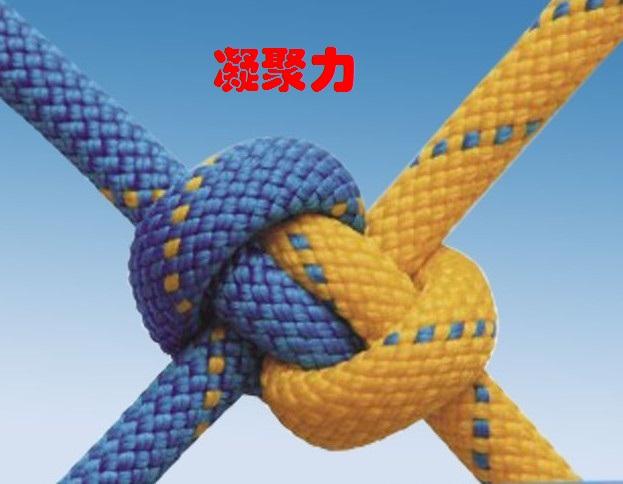 如何提高团队凝聚力？