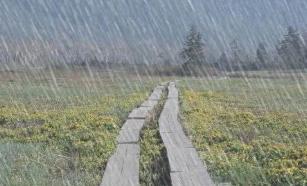 三重性时雨1-4