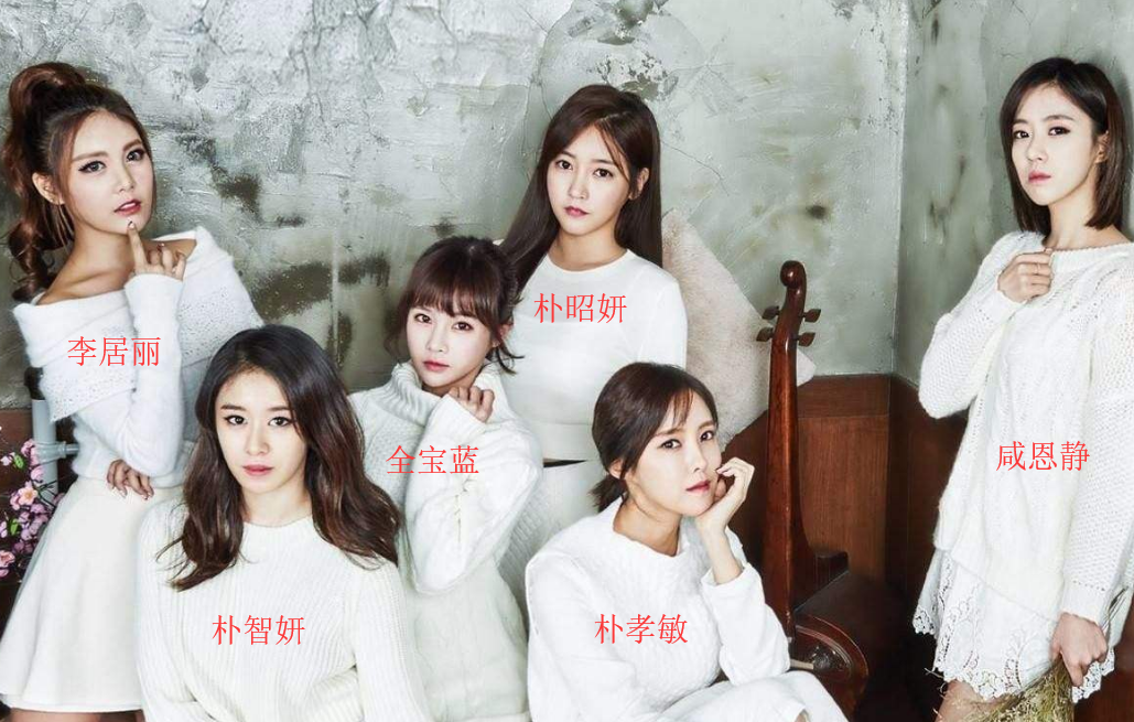 tara组合 怎么区分成员