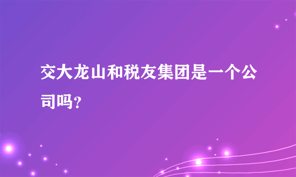 交大龙山和税友集团是一个公司吗？