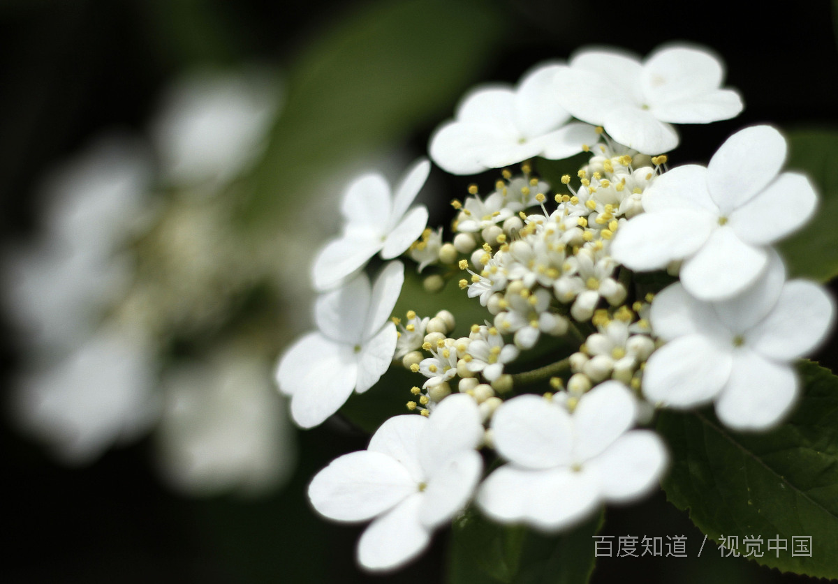 买小米手机去哪买好？