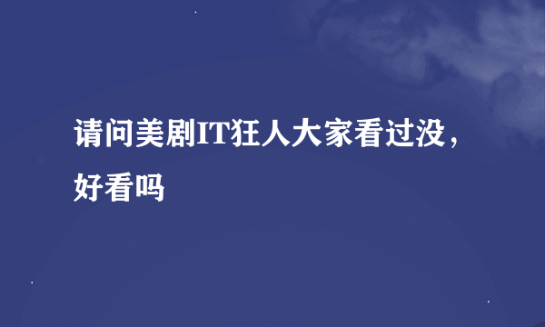 请问美剧IT狂人大家看过没，好看吗
