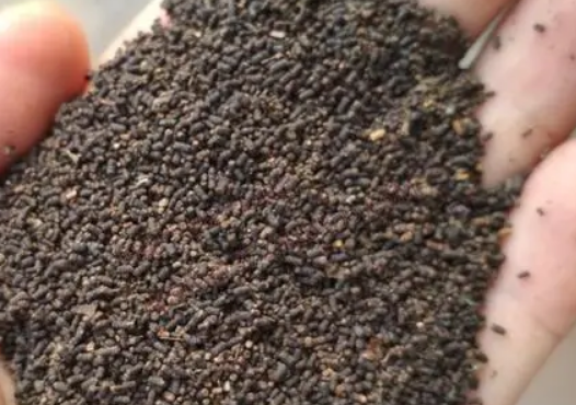 虫茶是怎样制作？