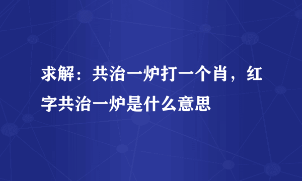 求解：共治一炉打一个肖，红字共治一炉是什么意思