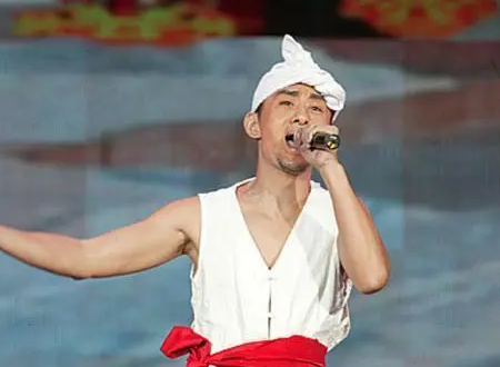 从2006年至2014年星光大道的冠军