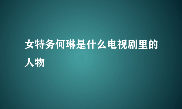 女特务何琳是什么电视剧里的人物