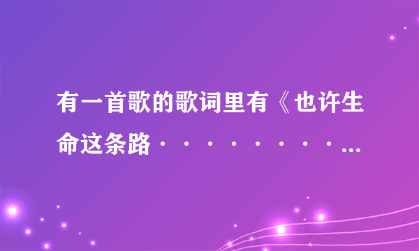 有一首歌的歌词里有《也许生命这条路·········》歌名是什么？