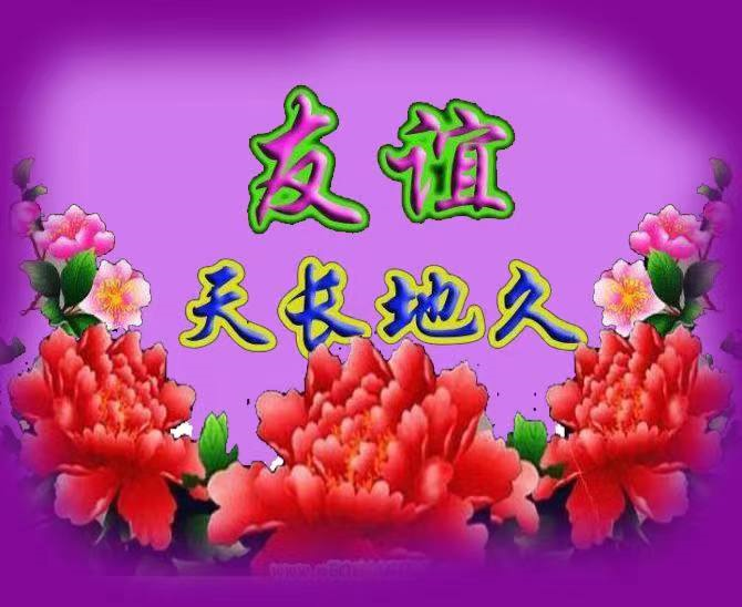 元旦节送什么礼物好