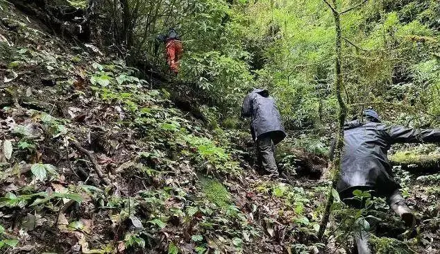 云南4名失联地质人员均已遇难，他们的定位设备为何没有打开？