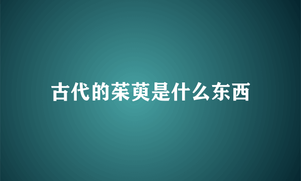 古代的茱萸是什么东西