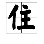 “住”如何组词？
