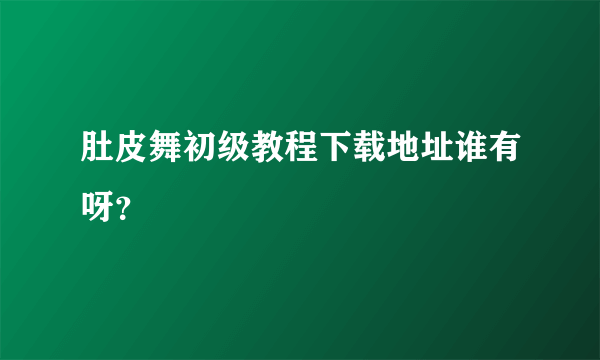 肚皮舞初级教程下载地址谁有呀？