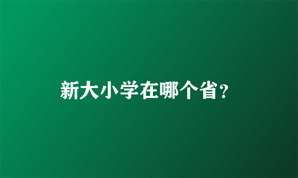 新大小学在哪个省？