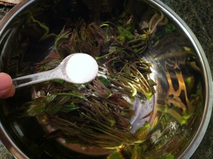 香椿芽怎样腌制好吃？
