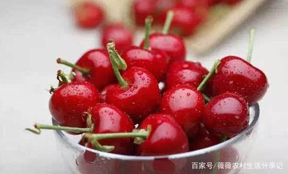 车厘子到底是不是樱桃，如果不是，又有什么区别？