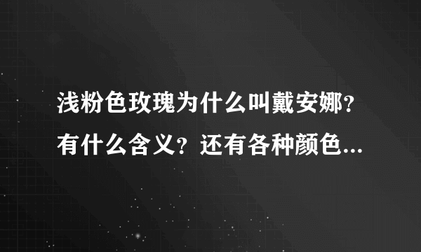 浅粉色玫瑰为什么叫戴安娜？有什么含义？还有各种颜色玫瑰的命名