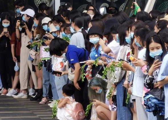 王一博粉丝为何会拿香菜应援？