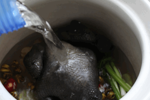 西洋参片如何食用？